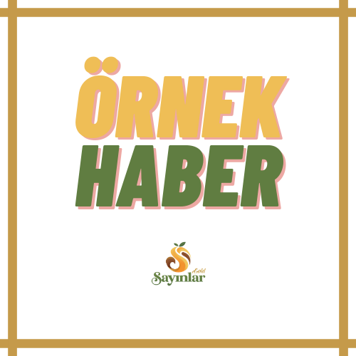 Demo Haber